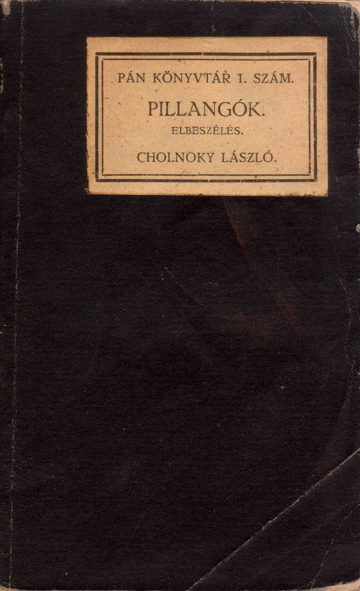 Cholnoky László: Pillangók, elbeszélések, Cholnoky László ; (előszó Laczkó Géza) | PLM Collection